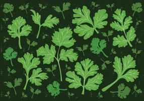 Fundo do vetor da folha de Cilantro