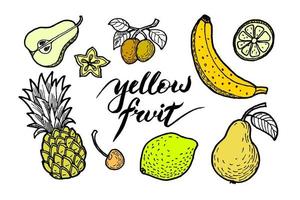 conjunto de ilustrações de frutas diferentes na cor amarela, como pêra, banana, abacaxi, limão, damasco, cereja doce e carabola vetor