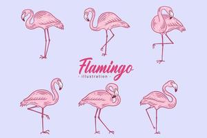 conjunto de flamingo bonito pássaro rosa flamingos estética tropical exótica coleção de estilo plano desenhado à mão vetor