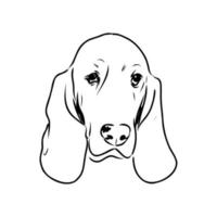 desenho vetorial de basset hound vetor