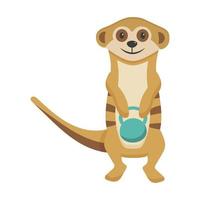 meerkat vai para esportes. levantamento de peso e kettlebell. personagem fofa para a seção de esportes infantis. motivação para o esporte. vetor