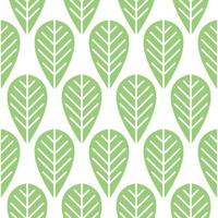 lindas folhas de fundo. padrão de decoração de motivo botânico, folha de natureza verde, lâmina, folhagem, folheto, design de vetor de agulha. ornamento para papel de parede, enrole.