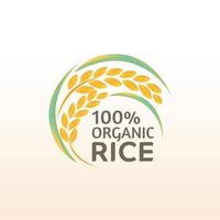 design de vetor de banner de produto natural orgânico premium de arroz em casca