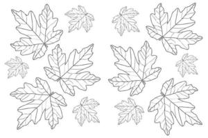 folha de outono maple é projetado para cartões, coloração, tatuagem, roupas e impressão de pano e você pode usá-lo em várias ocasiões. vetor