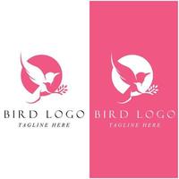 conjunto de logotipo de pássaro criativo com modelo de slogan vetor