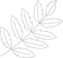 azadirachta indica ícone de vetor de folha de neem preto e branco