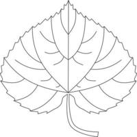 populus tremula ícone de vetor de folha de álamo preto e branco