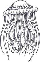 silhueta de ornamento de água-viva clássica de luxo vetor