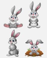 conjunto de coleção de coelhos engraçados dos desenhos animados vetor