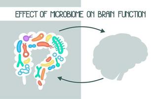 ilustração de microbioma humano com imagens vetoriais de intestinos e bactérias. gastroenterologista. bifidobactérias, lactobacilos. bactérias lácticas. vetor