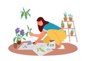 mulher transplantando orquídeas na ilustração vetorial de chão. jardinagem caseira. vetor