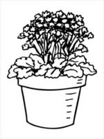 planta de casa desenhada de mão bonita em um clipart de pote. ilustração de plantas. doodle em casa aconchegante vetor