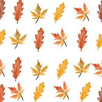 folhas de outono sem costura de fundo vetor