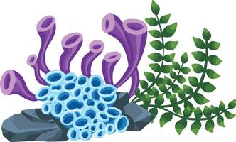 conjunto de plantas vetoriais marinhas, algas desenhadas à mão vetor