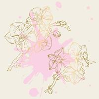 flor de vetor de orquídea. ilustração de tinta isolada.