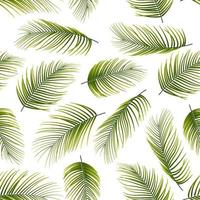 padrão perfeito com fundo de folhas de palmeira vetor