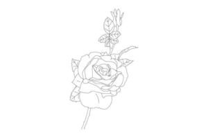 ilustração vetorial, página para colorir kdp, flores de contorno vetorial. página para colorir de arte de linha com rosas e folhas vetor