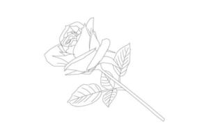 ilustração vetorial, página para colorir kdp, flores de contorno vetorial. página para colorir de arte de linha com rosas e folhas vetor