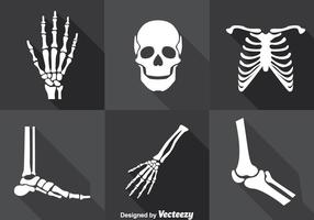 Conjunto de vetores de esqueleto humano
