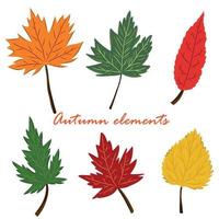 elementos de ilustração vetorial outono folhas de outono de cores diferentes conjunto verde vermelho amarelo vetor
