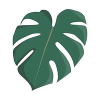 adesivo de design plano de folha verde monstera. ilustração de ícone isolada no fundo branco vetor