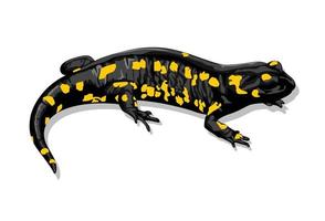 salamandra de fogo isolada no branco vetor