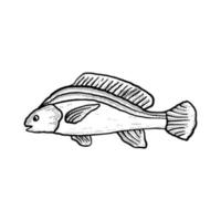 ilustração de peixe desenho de desenho desenhado à mão lineart vetor de estilo vintage