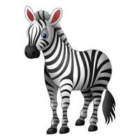 zebra dos desenhos animados em pé isolado no fundo branco