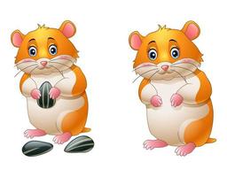 coleção de ilustração de desenhos animados de hamster fofo vetor