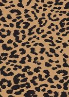 ilustração vetorial de padrão de pele de leopardo vetor