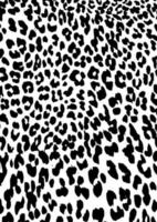 ilustração vetorial de padrão de pele de leopardo