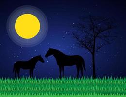silhueta de cavalos à noite vetor