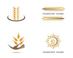 conjunto de ícones de logotipo de grão de trigo