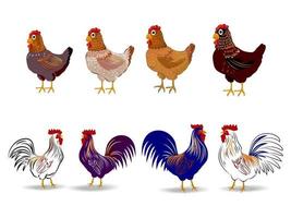 conjunto de frango, galo, vetor de animais de fazenda de aves ícone de galinha isolado no fundo branco.
