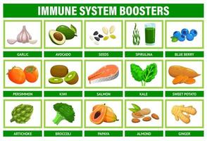 impulsionadores do sistema imunológico, superalimento, frutas, vegetais vetor