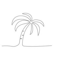 palmeira é uma planta tropical. ilustração vetorial de estoque. Isolado em um fundo branco. vetor