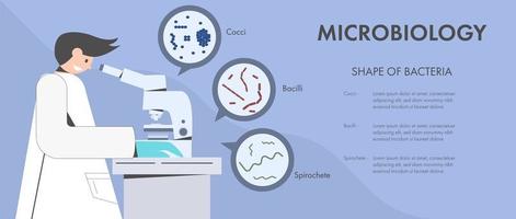 cientista examina bactérias sob microscópio vetor