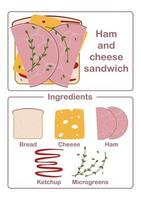 ingredientes do sanduíche pão, queijo, presunto e salada vetor