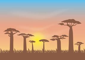 Ilustração vetorial grátis Baobab vetor