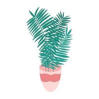 palmeira de vetor na ilustração de pote. planta de casa desenhada de mão isolada