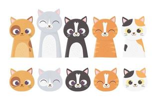 rostos de gatos variados vetor