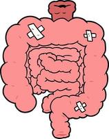 intestinos reparados dos desenhos animados vetor