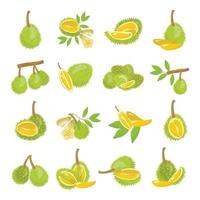 ícones durian definir vetor de desenhos animados. fruta musang