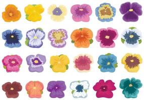 ícones de flor amor-perfeito definir vetor de desenhos animados. flores florais