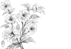desenho decorativo artístico desenho floral vetor
