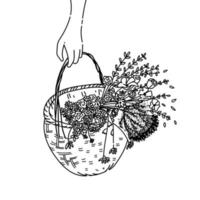 ilustração em vetor de arte de linha de cesta de flores em estilo vintage