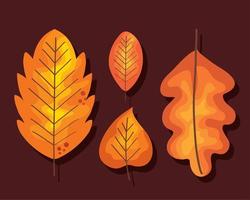 quatro folhas de outono vetor