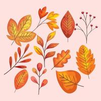 padrão de folhas de outono vetor