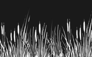 imagem de um junco verde ou junco em um desenho vetorial background.isolated branco. vetor