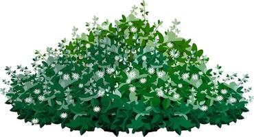 conjunto de planta verde ornamental na forma de um arbusto de jardim hedge.realistic, arbusto sazonal, buxo, folhagem de arbusto de coroa de árvore. vetor